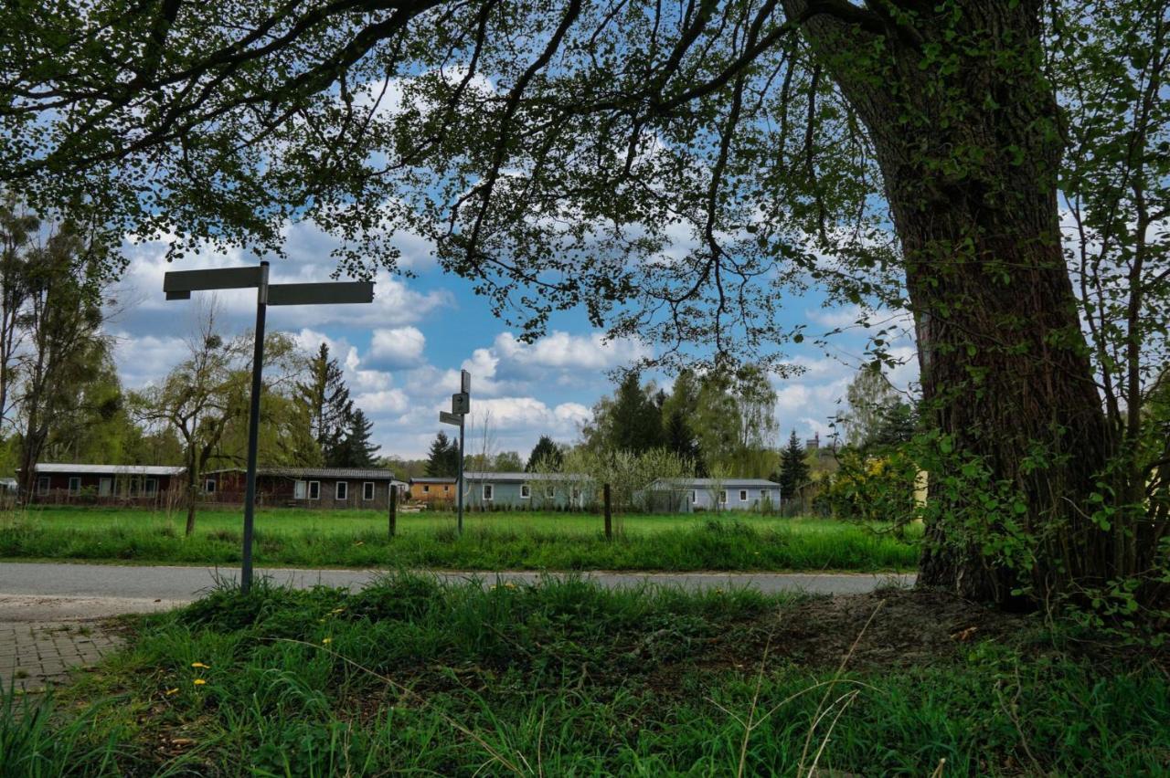 Ferienhaus Waldgefluester 70 Qm I Ueberdachte Terrasse I 2 Schlafzimmer I Strandnah Joachimsthal Buitenkant foto